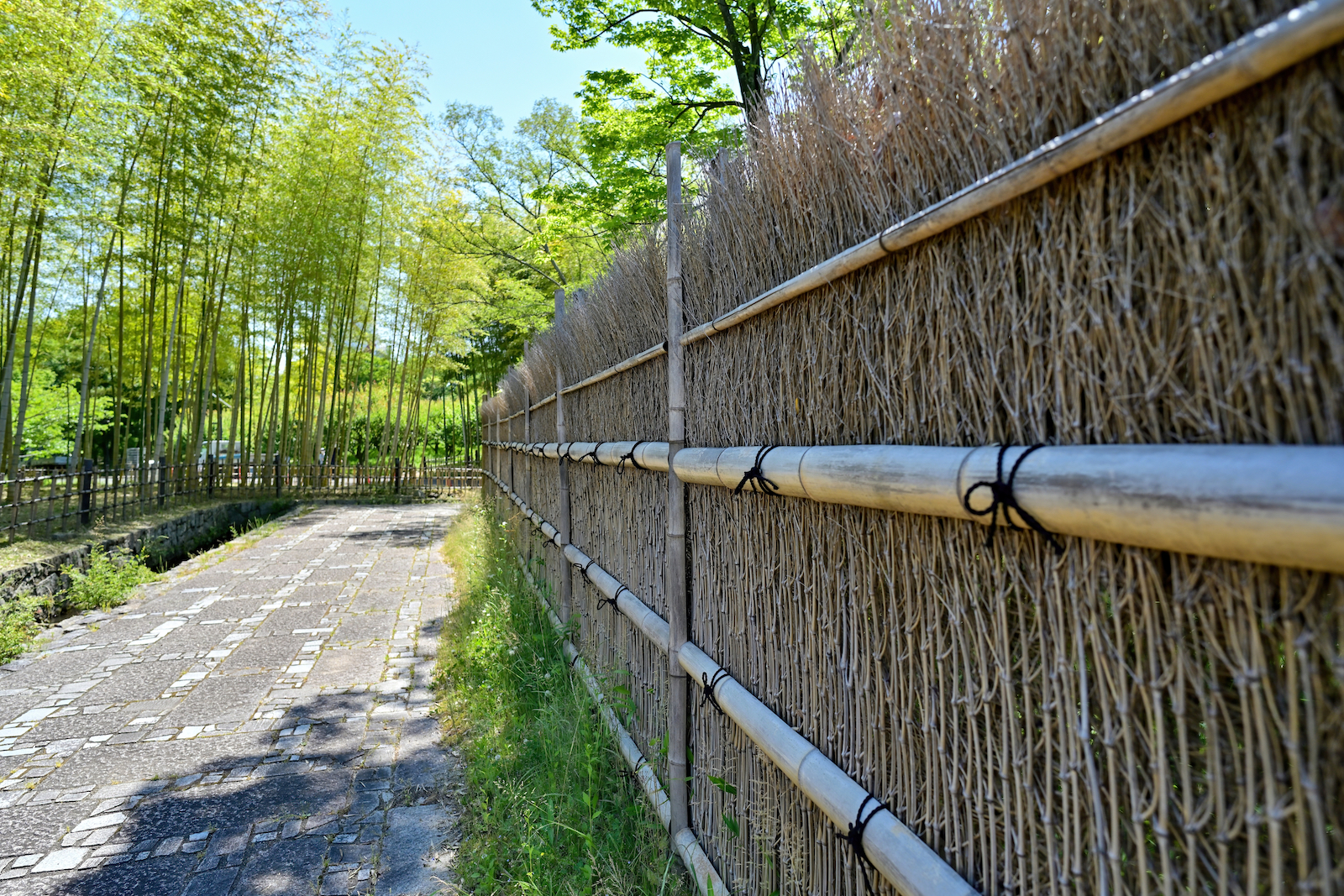 Irrigatie Computerspelletjes spelen verschijnen Bamboe afsluiting rond je tuin? Waarop moet je letten?